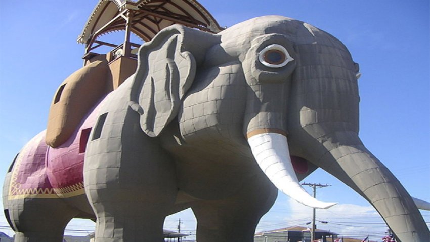 lucy-the-elephant1